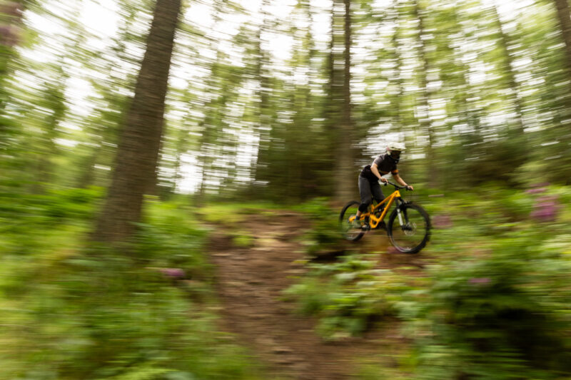 yt capra mx descending pan shot through larch forest